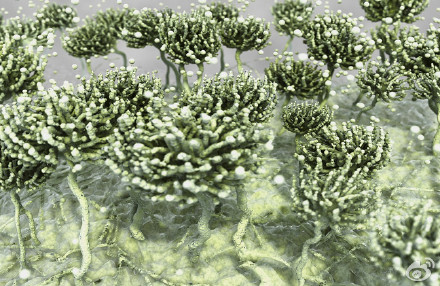 食品安全檢測(cè)儀器，水分儀，固含量，肉類水分儀，ATP熒光,農(nóng)藥殘留，藥物殘留.深圳市芬析儀器制造有限公司